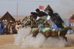 Image du Maroc Professionnelle de  Course typiquement marocaine dite ''la Fantasia'' organisé dans un site désertique sur lequel la ville de Tan Tan a toujours accueilli la majorité des tribus et des grandes familles nomades du désert lors d'un grand Moussem, Samedi 7 Septembre 2013. Le festival parrainé par l'UNESCO rassemble des milliers de nomades du Maroc. (Photo / Abdeljalil Bounhar) 